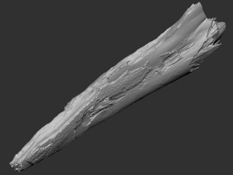 पेड़ के तने को छीलना लकड़ी जेडब्रश उत्कीर्णन हाईपोली 3D मॉडल