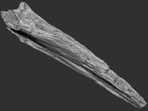 पेड़ के तने को छीलना लकड़ी जेडब्रश उत्कीर्णन हाईपोली 3D मॉडल