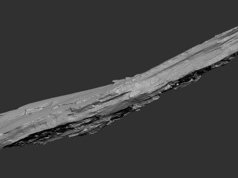 पेड़ के तने को छीलना लकड़ी जेडब्रश उत्कीर्णन हाईपोली 3D मॉडल