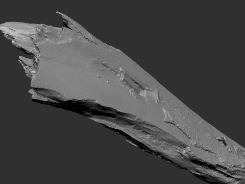 पेड़ के तने को छीलना लकड़ी जेडब्रश उत्कीर्णन हाईपोली 3D मॉडल