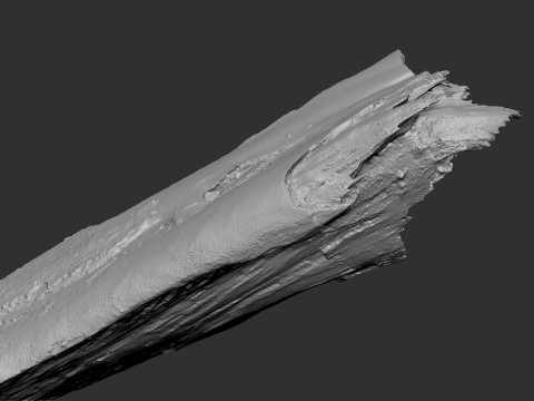 पेड़ के तने को छीलना लकड़ी जेडब्रश उत्कीर्णन हाईपोली 3D मॉडल