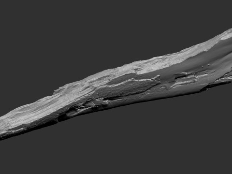 पेड़ के तने को छीलना लकड़ी जेडब्रश उत्कीर्णन हाईपोली 3D मॉडल