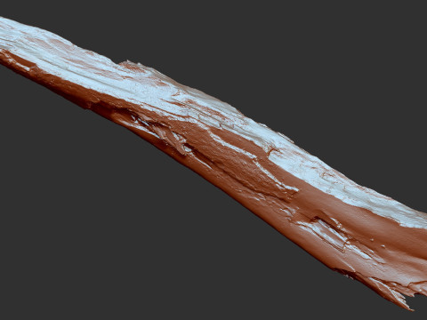 पेड़ के तने को छीलना लकड़ी जेडब्रश उत्कीर्णन हाईपोली 3D मॉडल