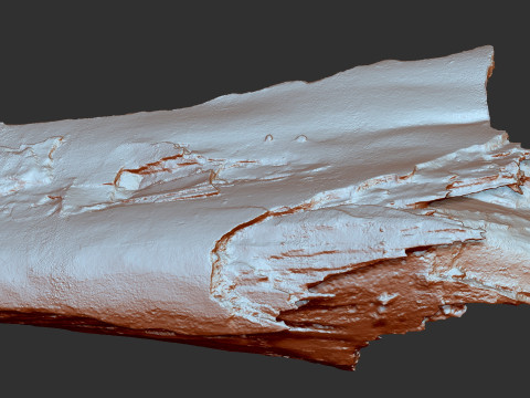 पेड़ के तने को छीलना लकड़ी जेडब्रश उत्कीर्णन हाईपोली 3D मॉडल