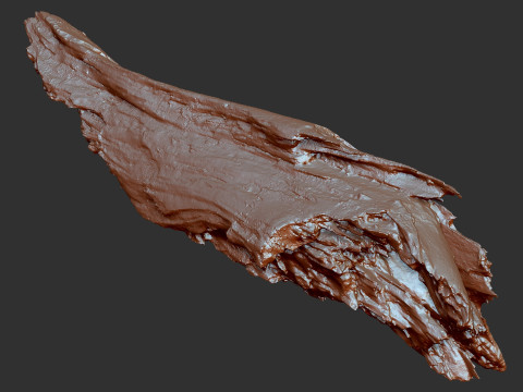 पेड़ के तने को छीलना लकड़ी जेडब्रश उत्कीर्णन हाईपोली 3D मॉडल