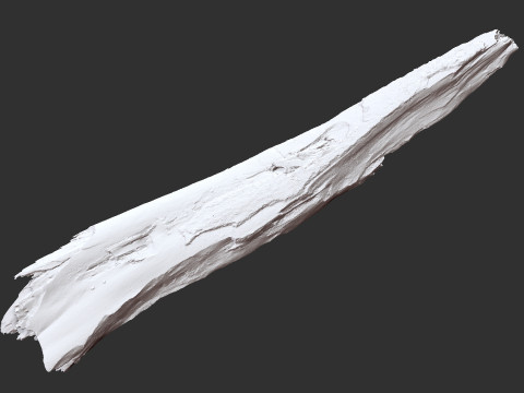 पेड़ के तने को छीलना लकड़ी जेडब्रश उत्कीर्णन हाईपोली 3D मॉडल