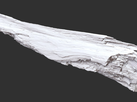 पेड़ के तने को छीलना लकड़ी जेडब्रश उत्कीर्णन हाईपोली 3D मॉडल