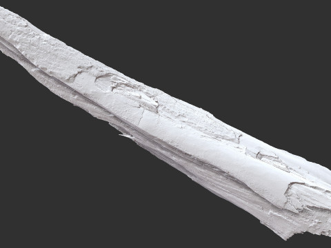 पेड़ के तने को छीलना लकड़ी जेडब्रश उत्कीर्णन हाईपोली 3D मॉडल