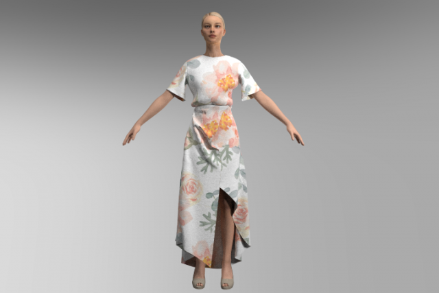 Rose dress 3D Model .c4d .max .obj .3ds .fbx .stl .blend 