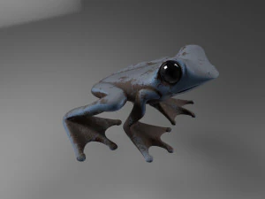 Frog 3D Model