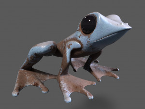 Frog 3D Модель