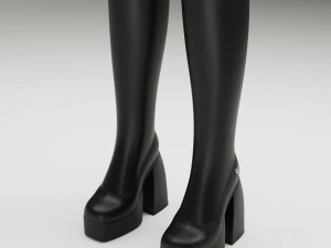 Collection set Naked Wolfe Boots 3D Model