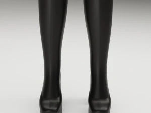 Collection set Naked Wolfe Boots 3D Model