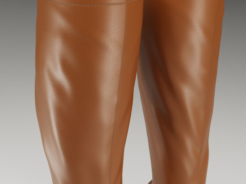 Collection of NOKWOL Emmie platform knee boots 3D Model