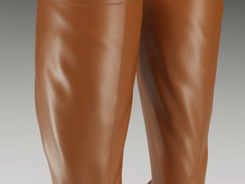 Collection of NOKWOL Emmie platform knee boots 3D Model