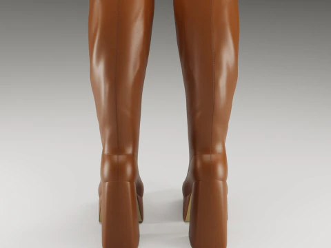Collection of NOKWOL Emmie platform knee boots 3D Model