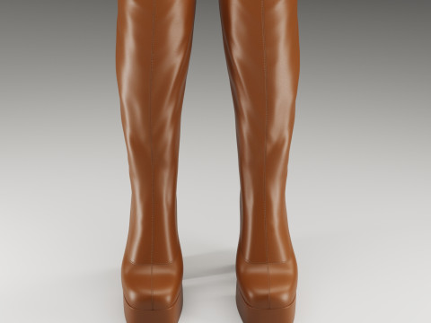 Collection of NOKWOL Emmie platform knee boots 3D Model