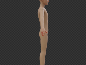 Ken 3D Model