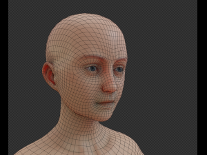 Ken 3D Model