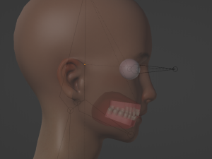 Ken 3D Model