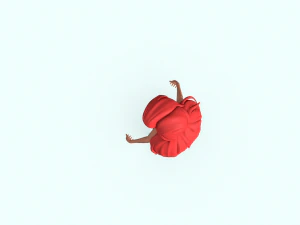 Princess Ariel The Little Mermaid 3D Model