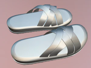 Abrace o conforto e o estilo com chinelos femininos Modelo 3D