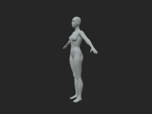 Esplora la creativit&agrave; senza fine con la nostra posa A femminile in mesh base Modello 3D