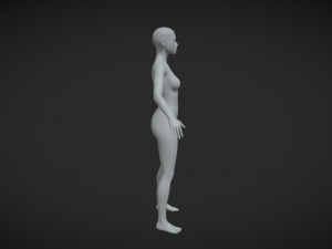 Embrace Artistry Female Body Mesh A-Pose for Your Creative Vision 3Dモデル