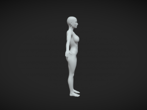 Sculpt Your Vision Women Body Mesh A-Pose for Digital Artistry 3D 모델
