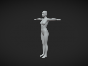 Create Your Characters with Precision Girl Body Mesh T-Pose for Digital Artists 3D Модель