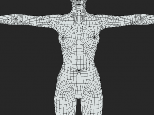 Create Your Characters with Precision Girl Body Mesh T-Pose for Digital Artists 3D Модель
