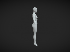 Unleash Your Creative Vision Female Body Base Mesh A-Pose 3D 模型