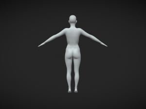 Unleash Your Creative Vision Female Body Base Mesh A-Pose 3D 模型