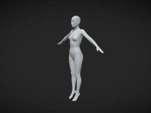 Unleash Your Creative Vision Female Body Base Mesh A-Pose 3D 模型