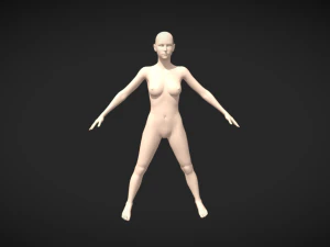 Rangkullah Kebebasan Artistik Tubuh Wanita Dasar Mesh A-Pose Model 3D