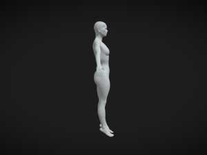 Embrace Creativity Female Body Base Mesh A-Pose 3Dモデル