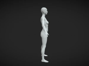 Elevate Your Digital Art Female Body Base Mesh A-Pose 3D Model