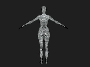 Verk&ouml;rpert St&auml;rke und Eleganz. Female Fit Body Base Mesh A-Pose 3D Modell