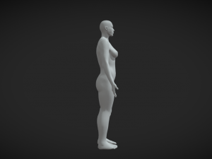 Foundational Femininity Women Body Base Mesh 3D 模型
