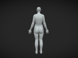 Foundational Femininity Women Body Base Mesh 3D 模型