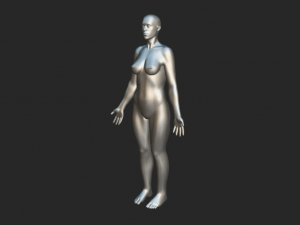 Foundational Femininity Women Body Base Mesh 3D 模型
