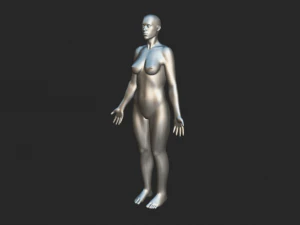 Base per il corpo femminile femminile fondamentale Modello 3D