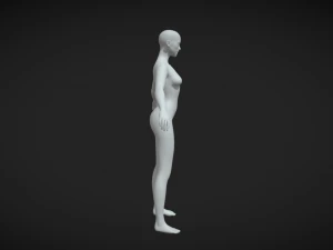 Craft Your Character Female Character Body Base Mesh 3D Model