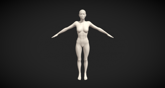Embodiment of Realism Realistic Female Figure Base Mesh 3D Модель .c4d .max .obj .3ds .fbx .stl .blend 