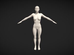 Embodiment of Realism Realistic Female Figure Base Mesh 3D Model