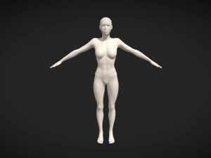 Incarnation du r&eacute;alisme Maillage de base de figure f&eacute;minine r&eacute;aliste Modèle 3D