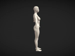Embodiment of Realism Realistic Female Figure Base Mesh 3D Model