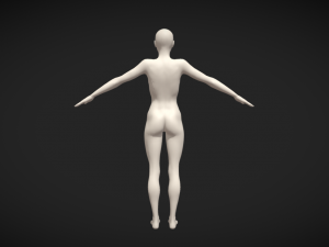 Embodiment of Realism Realistic Female Figure Base Mesh 3D Модель