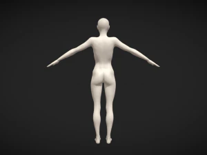 Embodiment of Realism Realistic Female Figure Base Mesh 3D Model