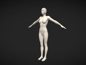 Embodiment of Realism Realistic Female Figure Base Mesh 3D Model